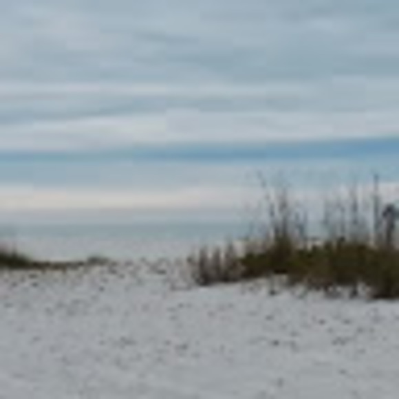 Meet your Posher, Triniti - Picture 1 of 1